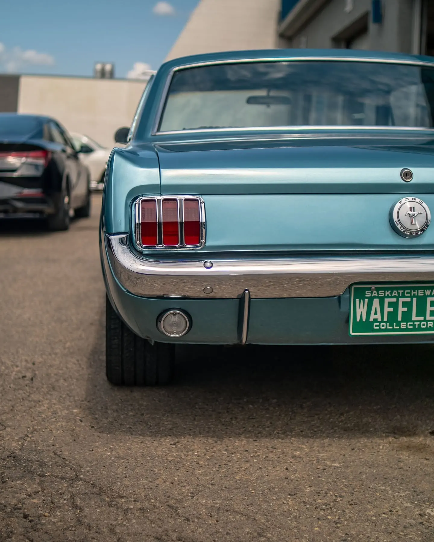 Western PDR paintless dent repair work in Saskatoon photo 15